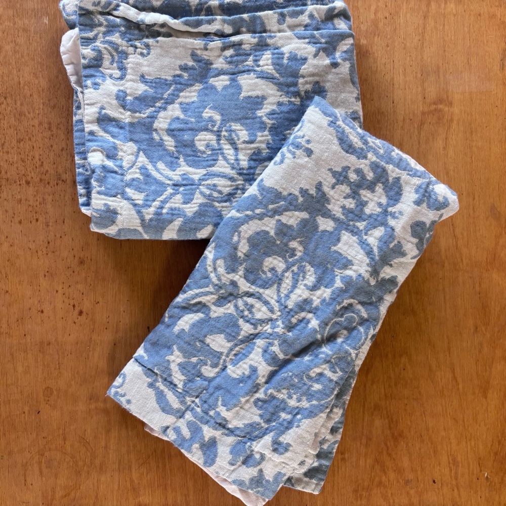 Pottery Barn blue cream Jacquard Medallion king and European accent pillow shams